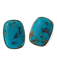 Jay King Iron Mountain Turquoise Sterling Silver Cushion Stud Earrings