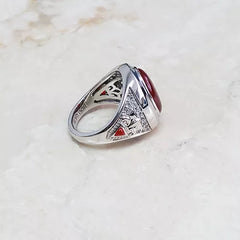 Aldo Orta Sterling Silver Red Agate Icon Ring Size 9 QVC $188